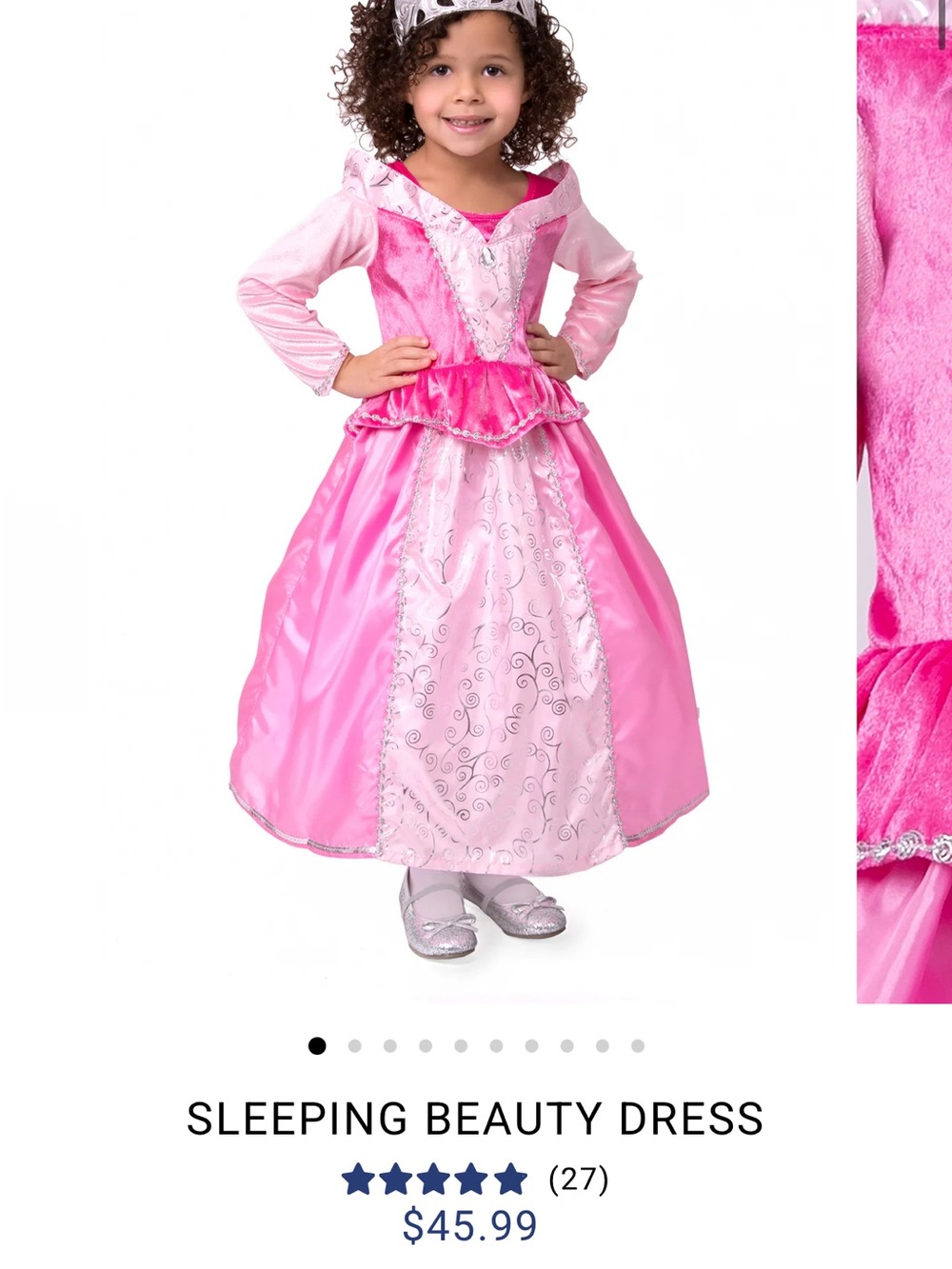 Little Adventures Aurora Costume Dress size Large Ages 5-7